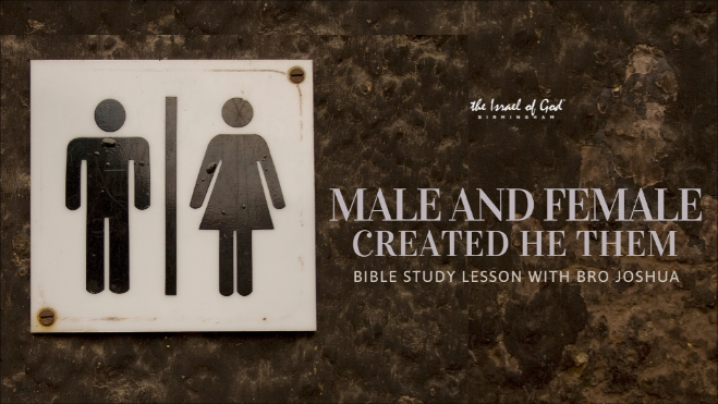 06252022 - IOG Birmingham - Male & Female Created He Them