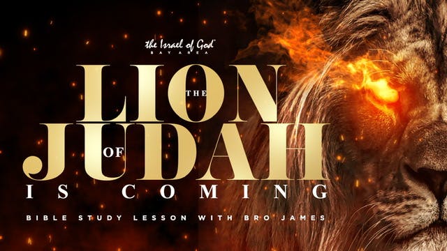 12312022 - IOG Bay Area - The Lion of...