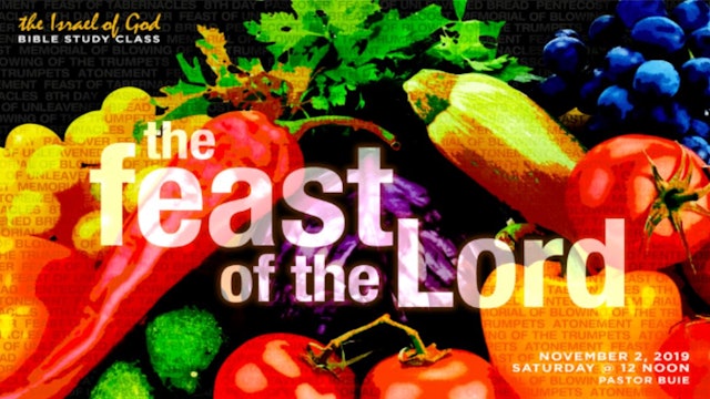 11022019 - The Feasts of the Lord