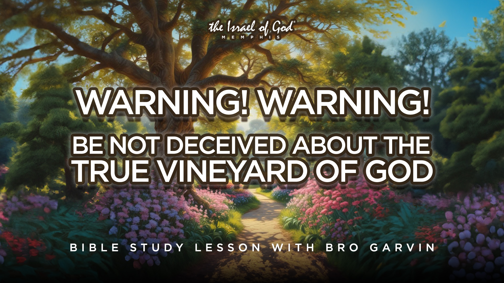 01182025 - IOG Memphis - Warning! Warning! Be Not Deceived About The True Vine..