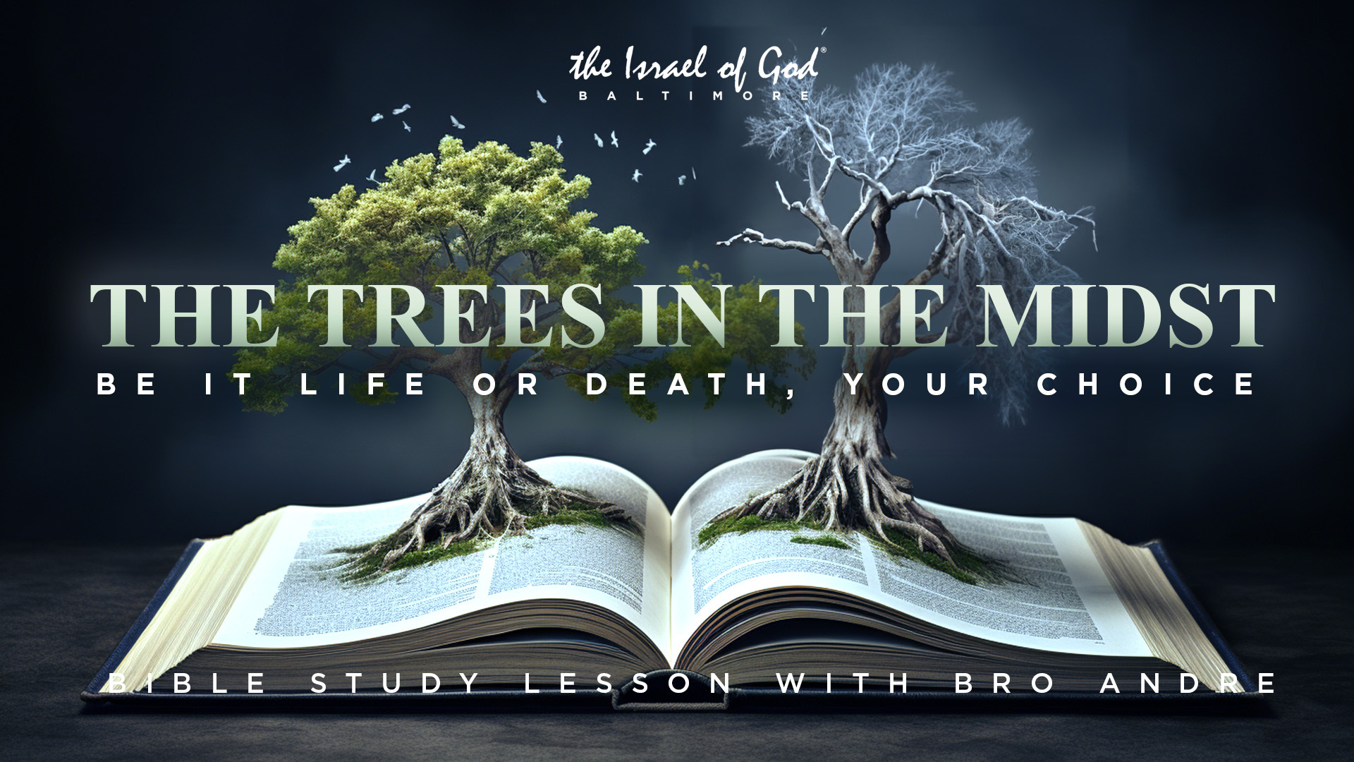 12302023 - IOG Baltimore - The Trees In The Midst: Be It Life or Death Your...