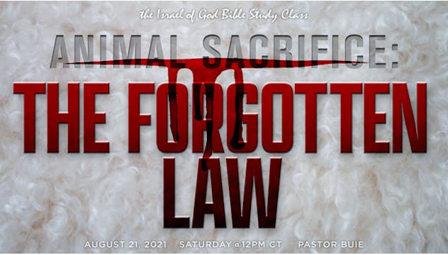 08212021 - Animal Sacrifice: The Forg...