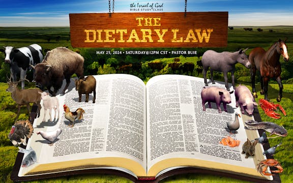 05252024 - The Dietary Law