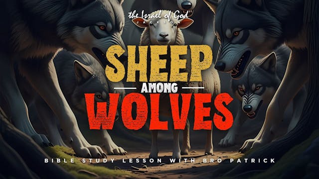 05242025 - IOG Jackson - SHEEP AMONG ...