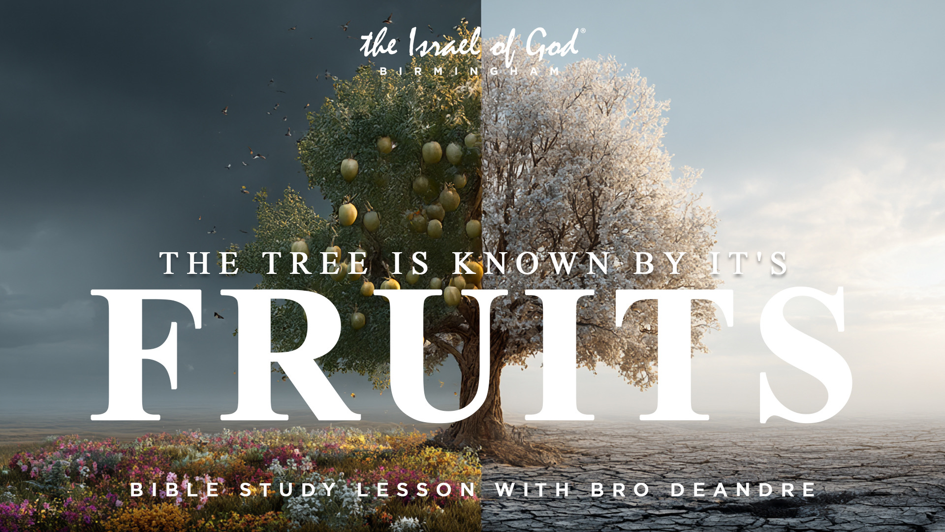 09272025 - IOG Birmingham - The Tree Is known By Its Fruits