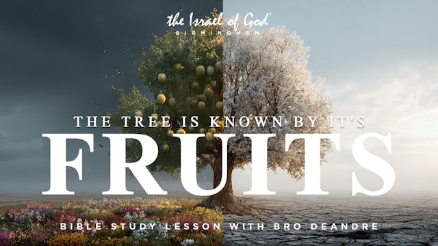 09272025 - IOG Birmingham - The Tree ...