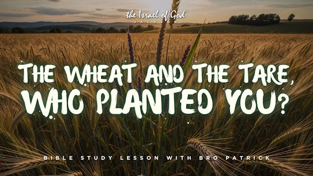 09202025 - IOG JACKSON - The Wheat An...