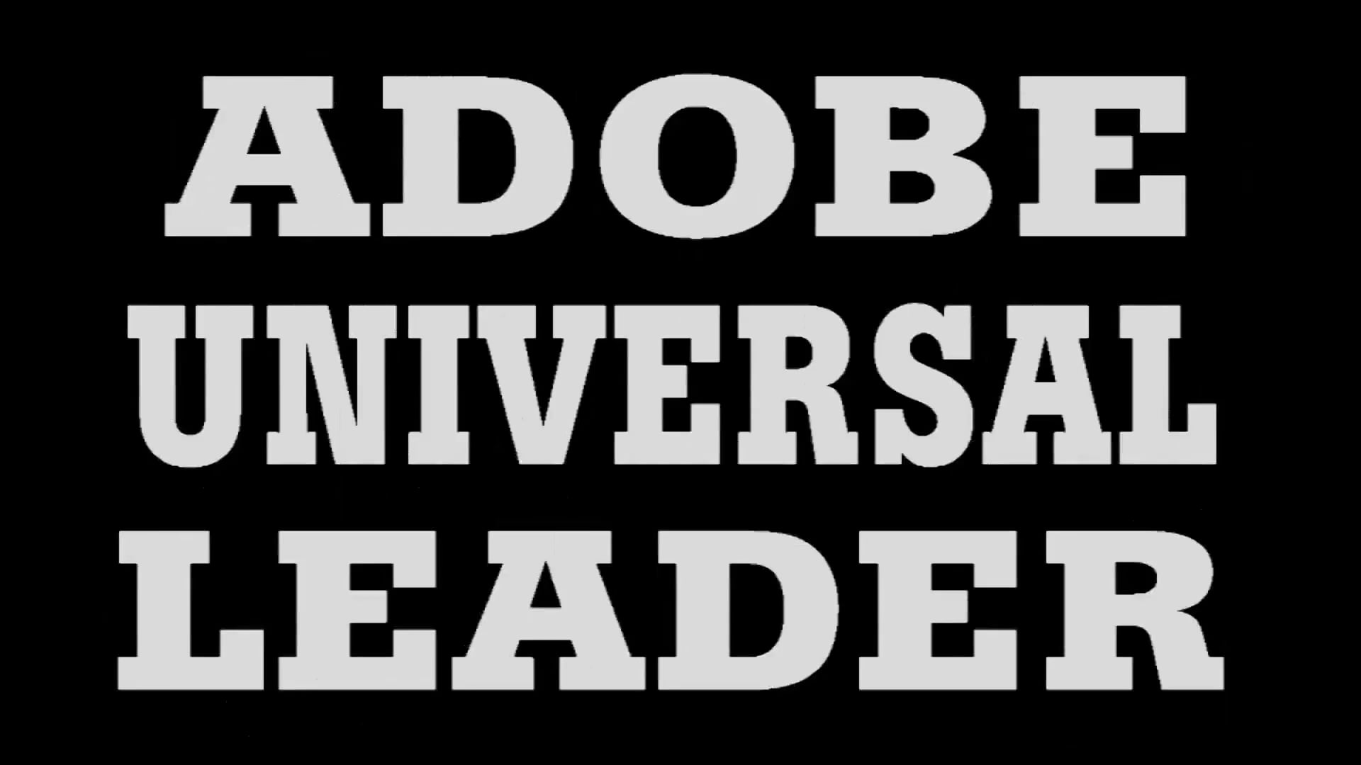 PAIN OF CHIMAMANDA pt1