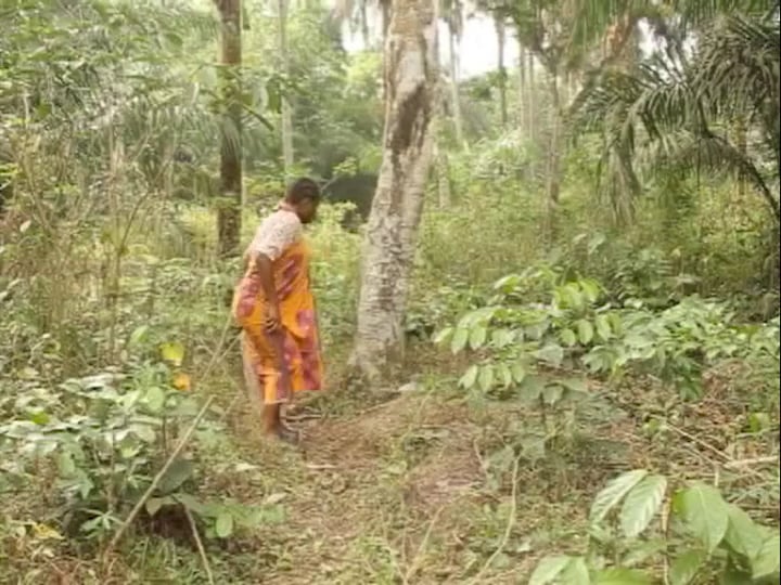 SACRED SKULL Pts 1and2