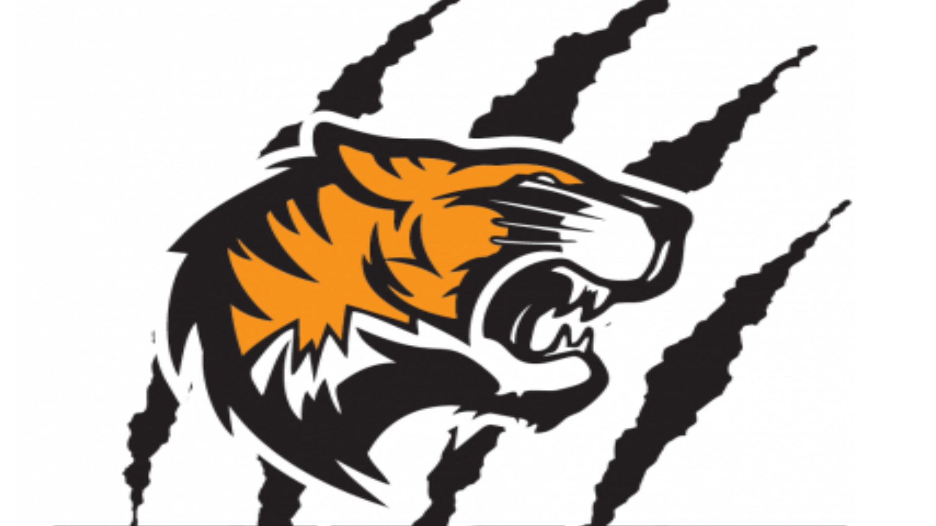 Warsaw Tigers