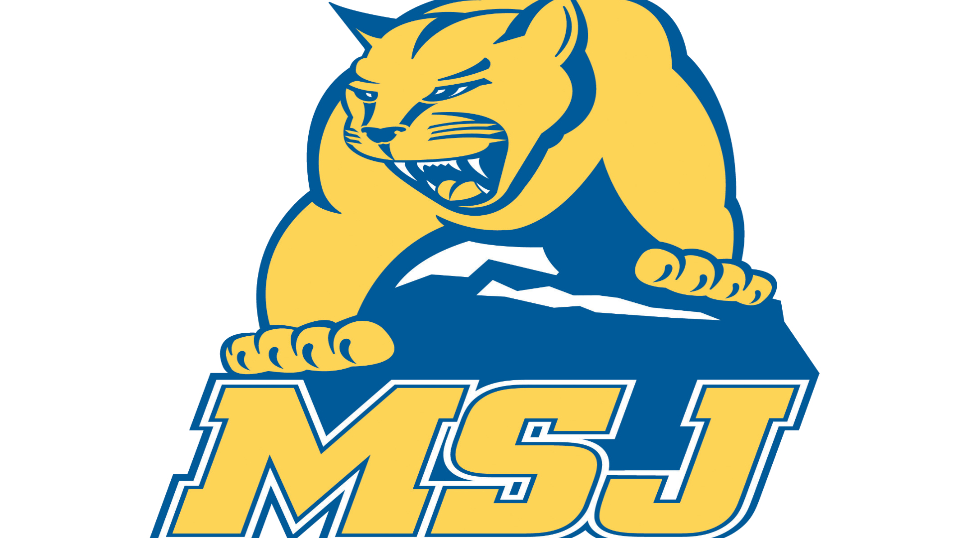 Mount St. Joseph Lions