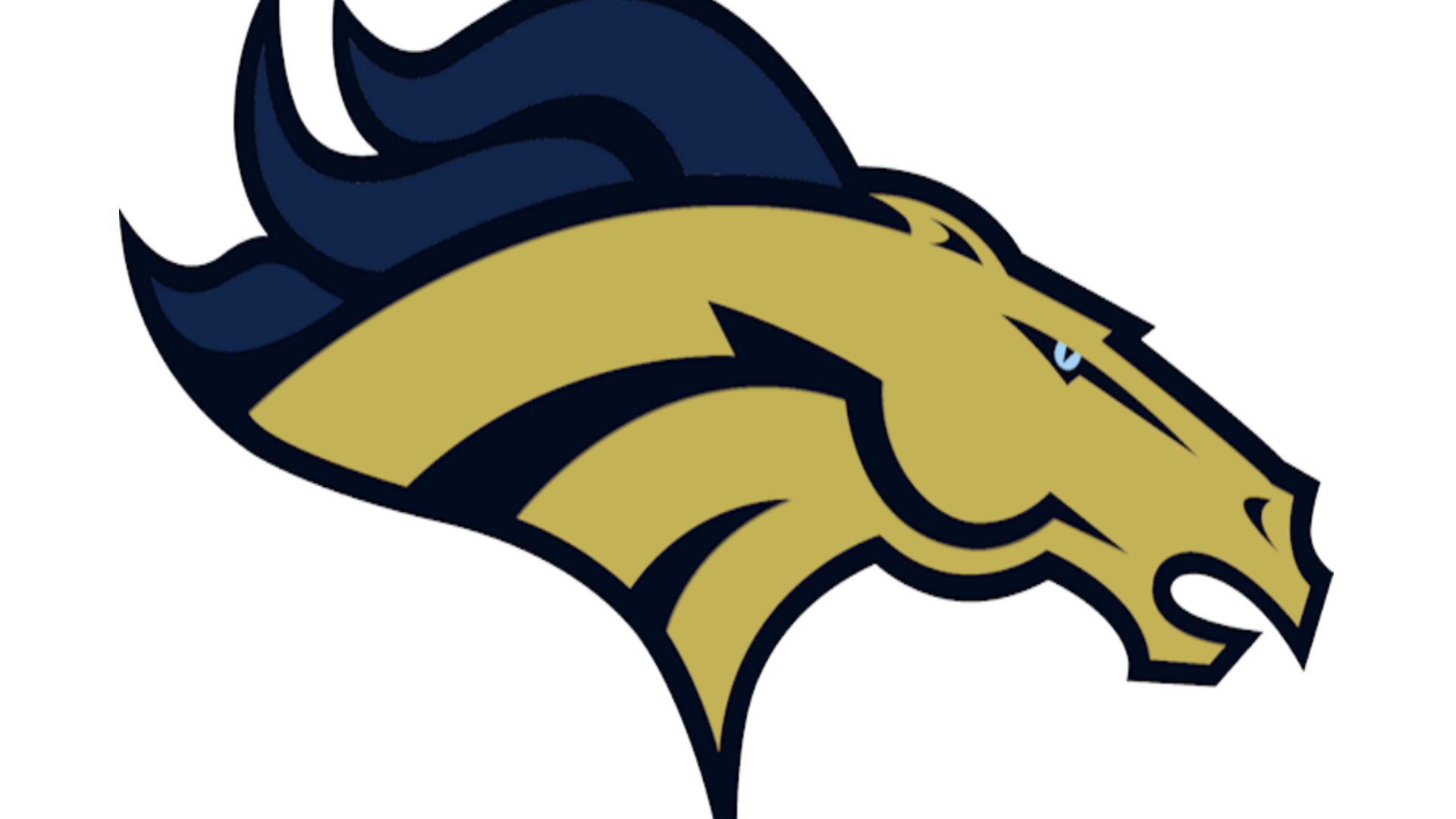 Fountain Central Mustangs