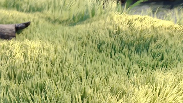 Dye Jr. Invitational: Lilly Harmon