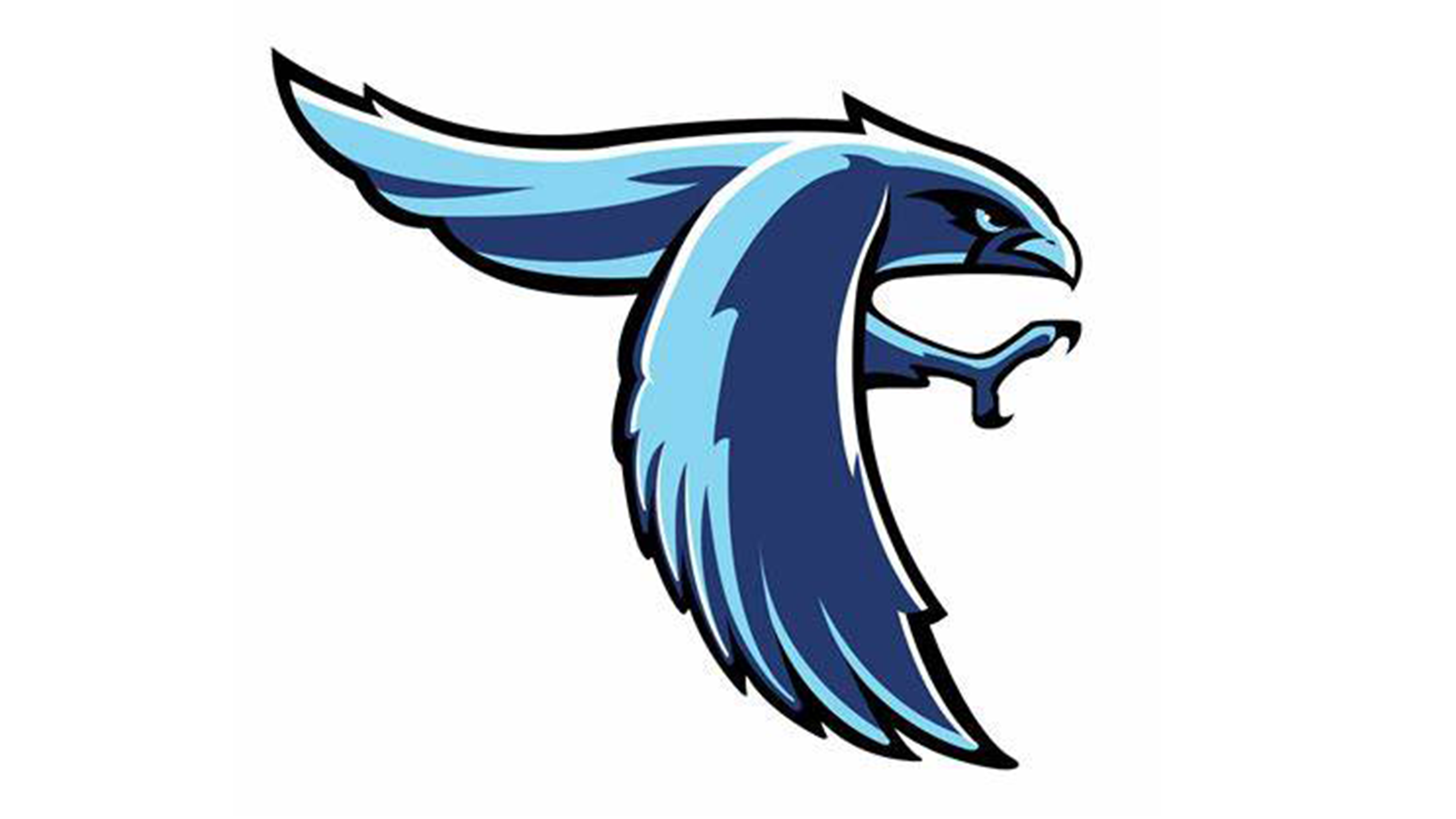 Perry Meridian Falcons