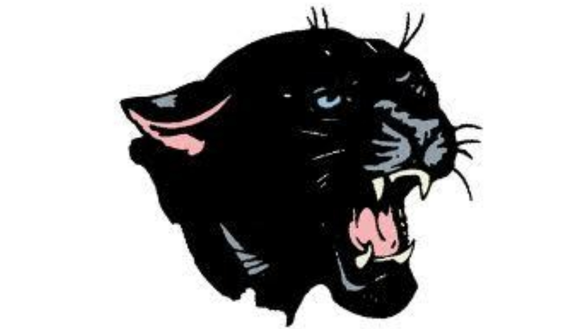 Knightstown Panthers