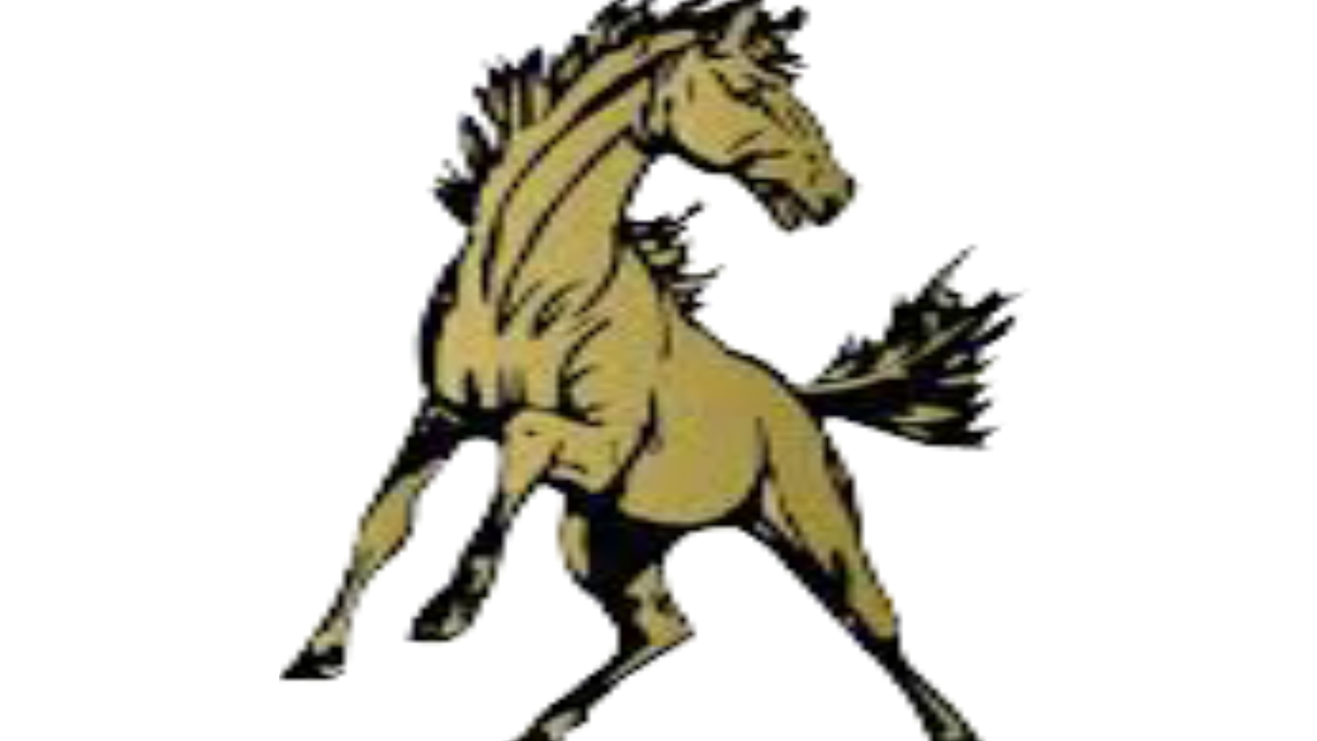 Daleville Broncos