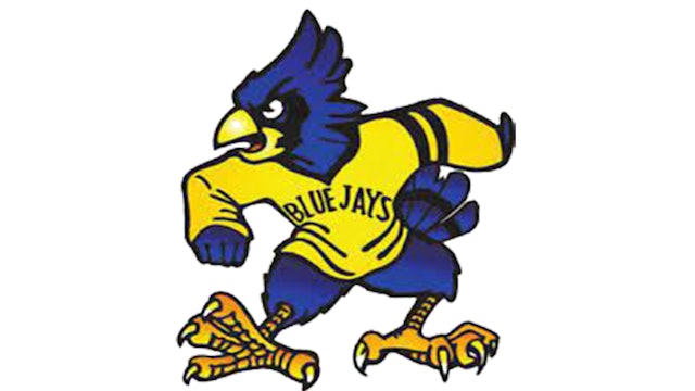Delphos St. John's Blue Jays
