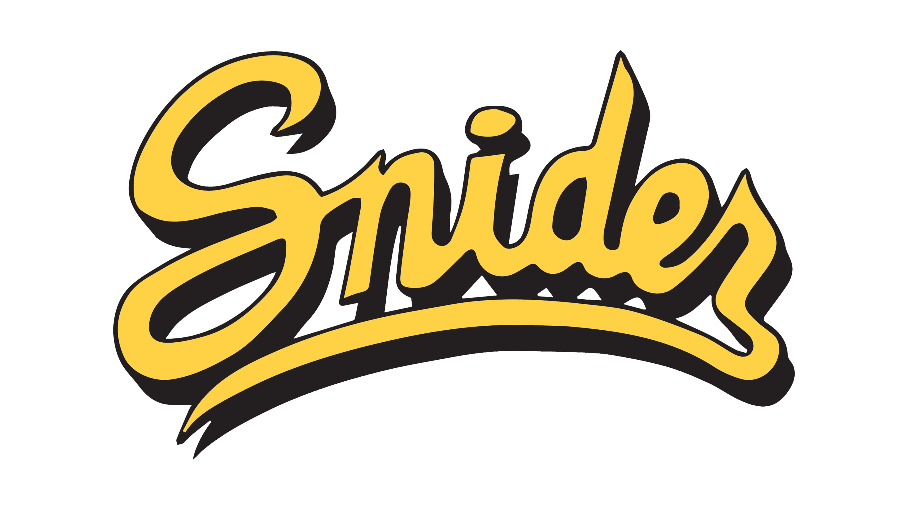 Fort Wayne Snider Panthers