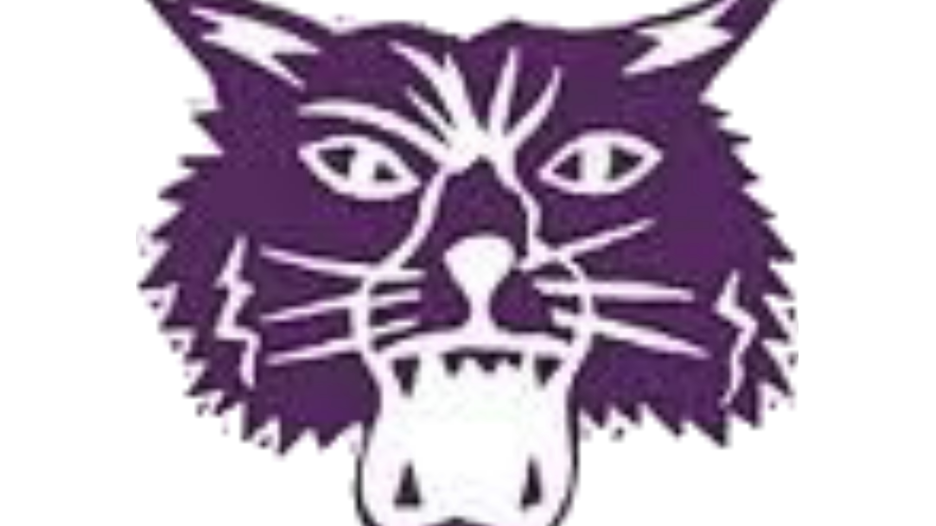 Muncie Central Bearcats