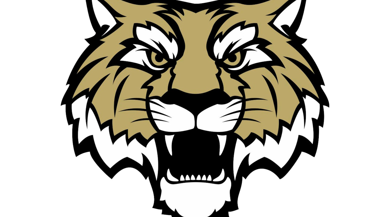 Lebanon Tigers