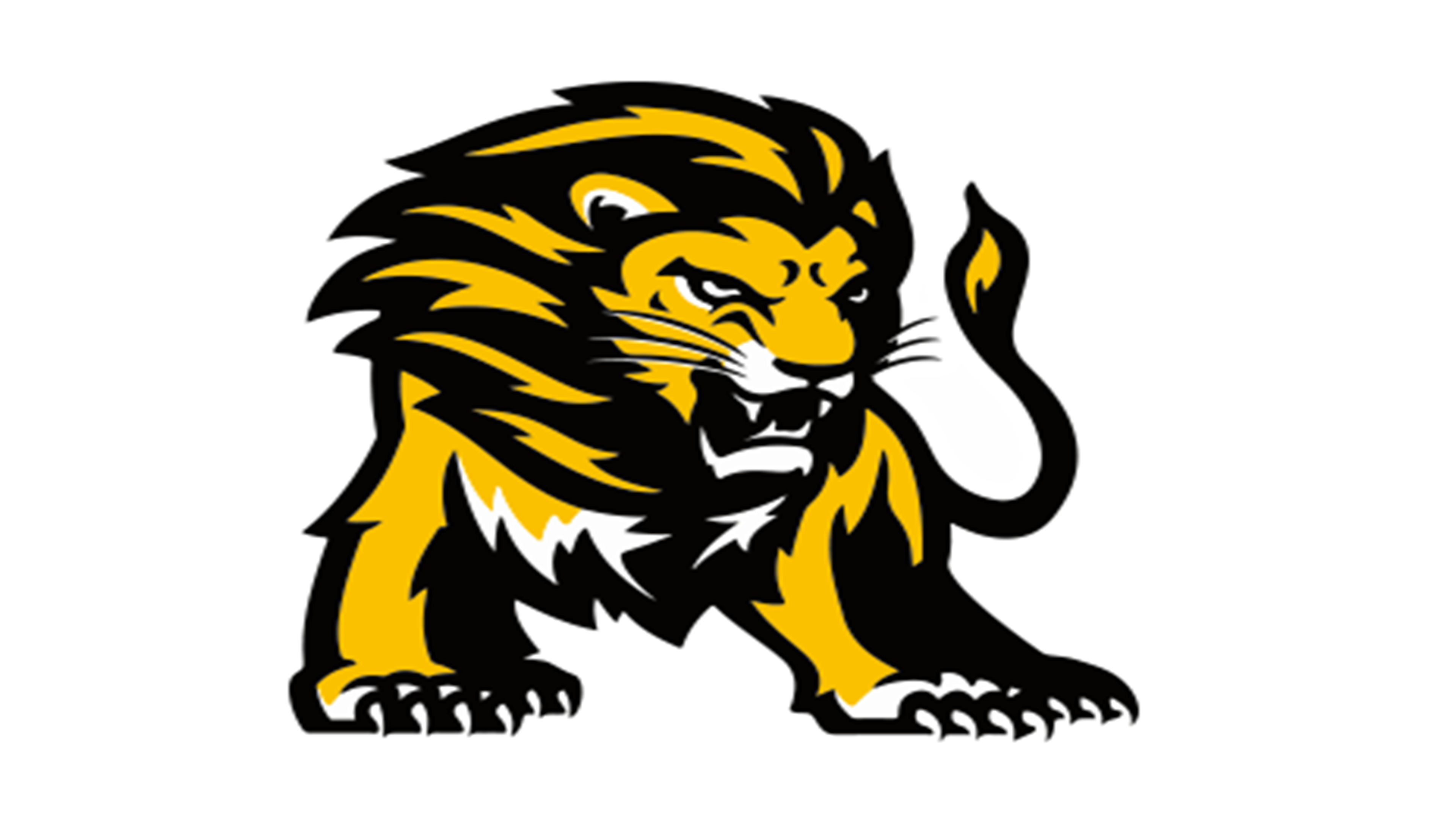 Salem Lions