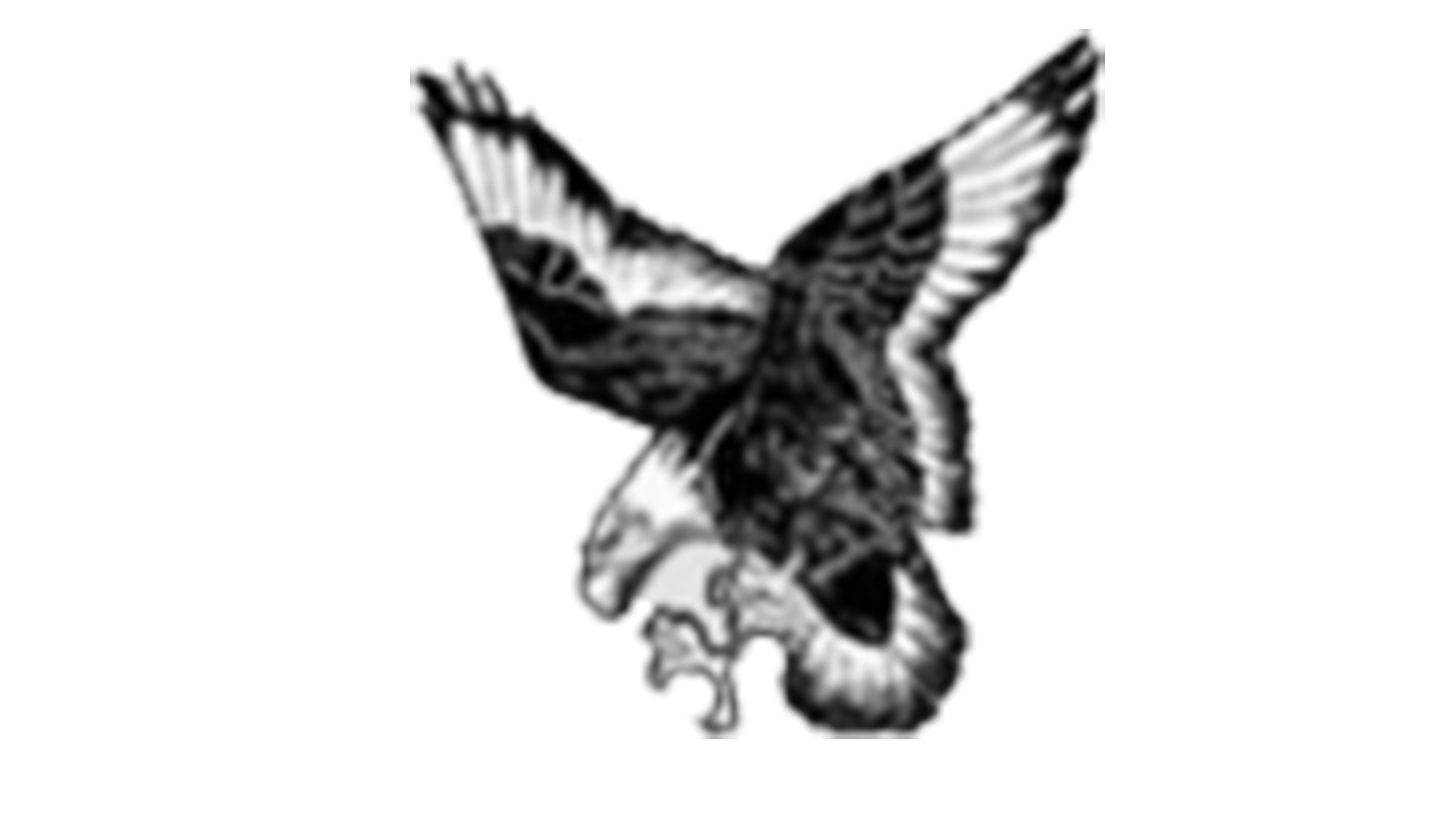 Mississinawa Valley Blackhawks