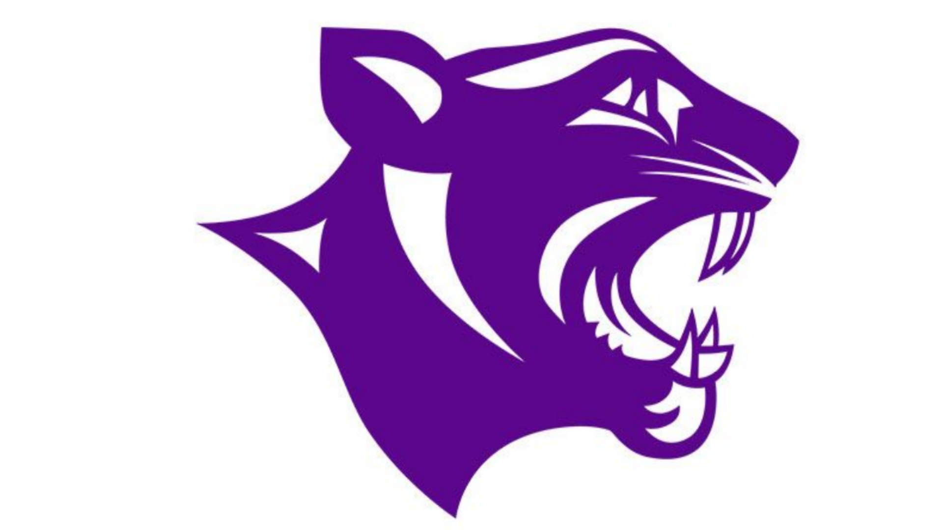 Elder Panthers