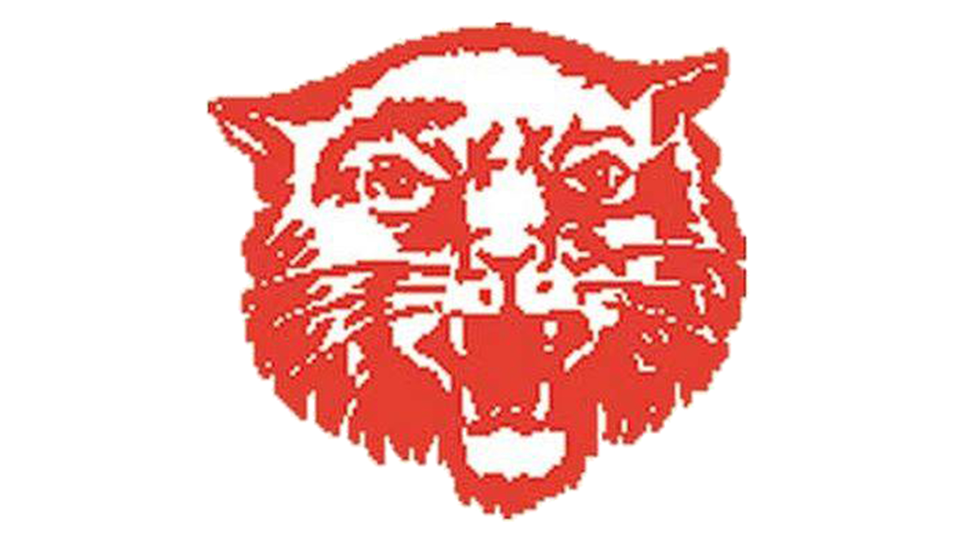 Delphos Jefferson Wildcats