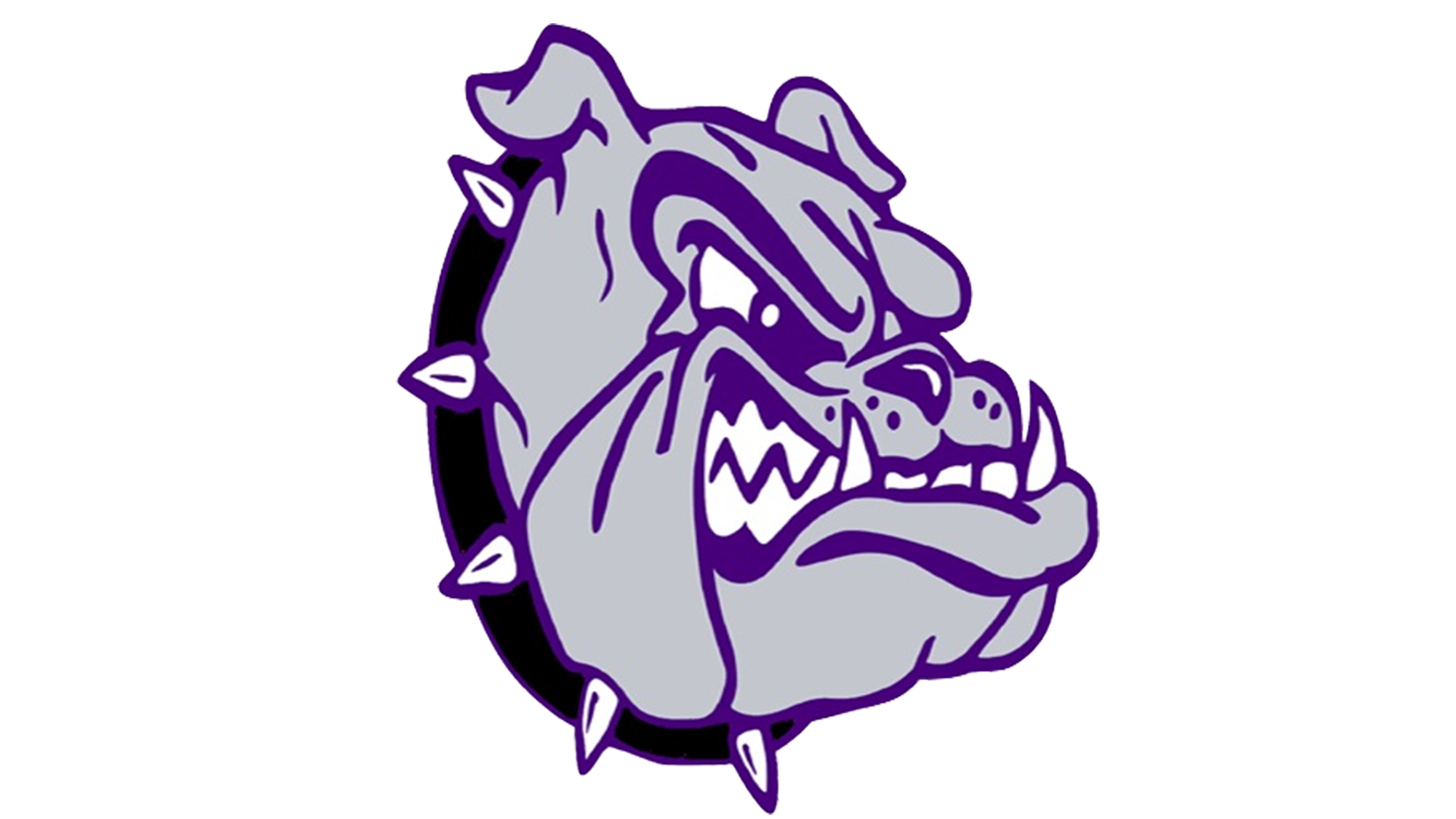 New Haven Bulldogs