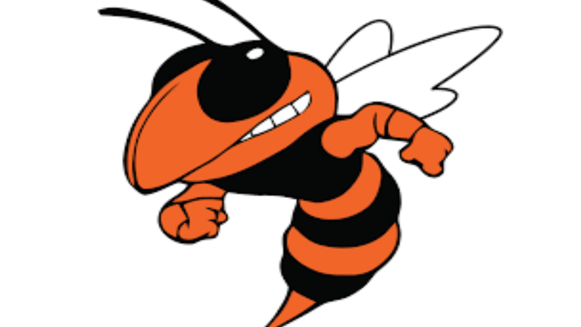 Beech Grove Hornets