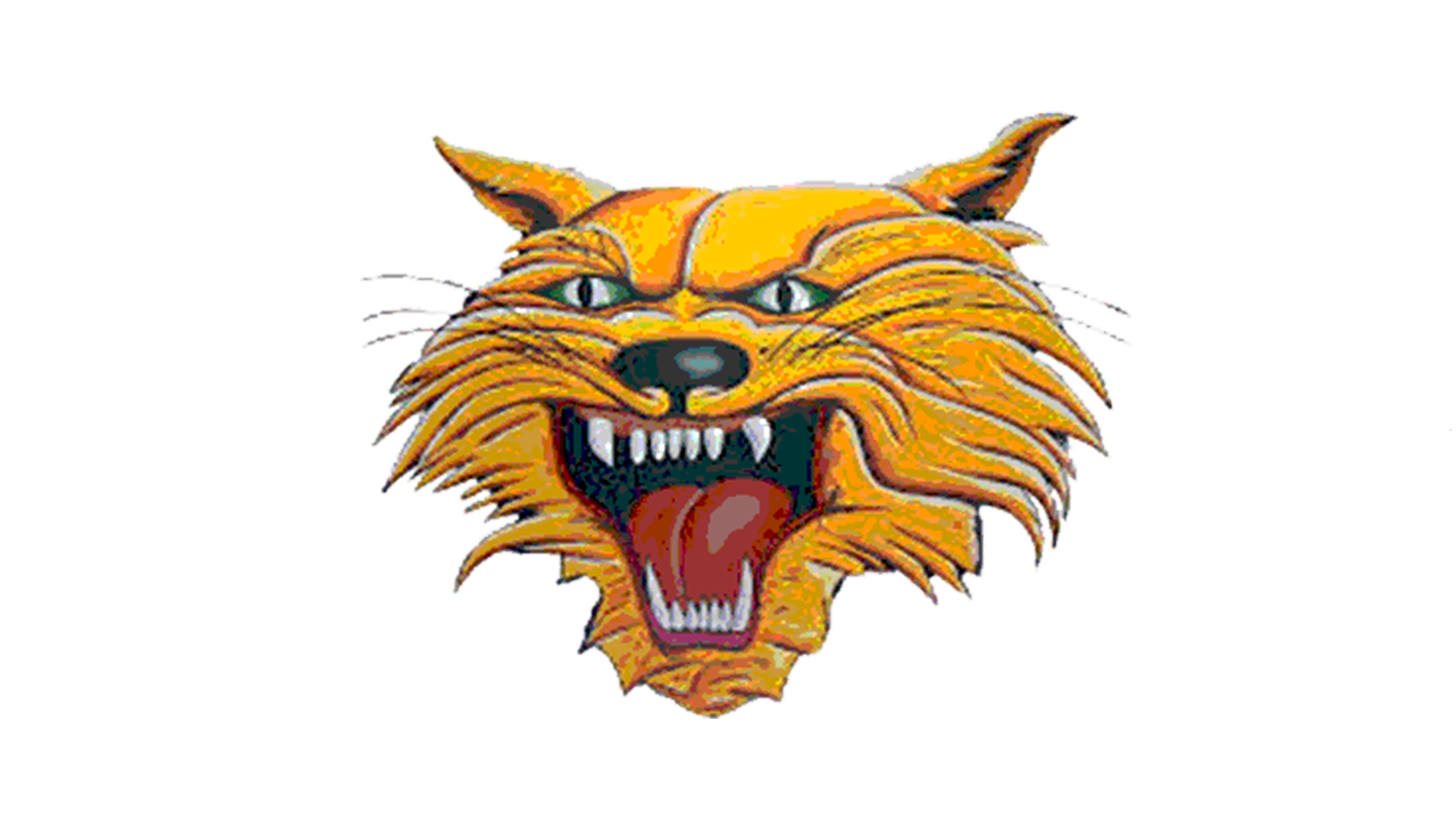 Kalida Wildcats ISC Sports Network