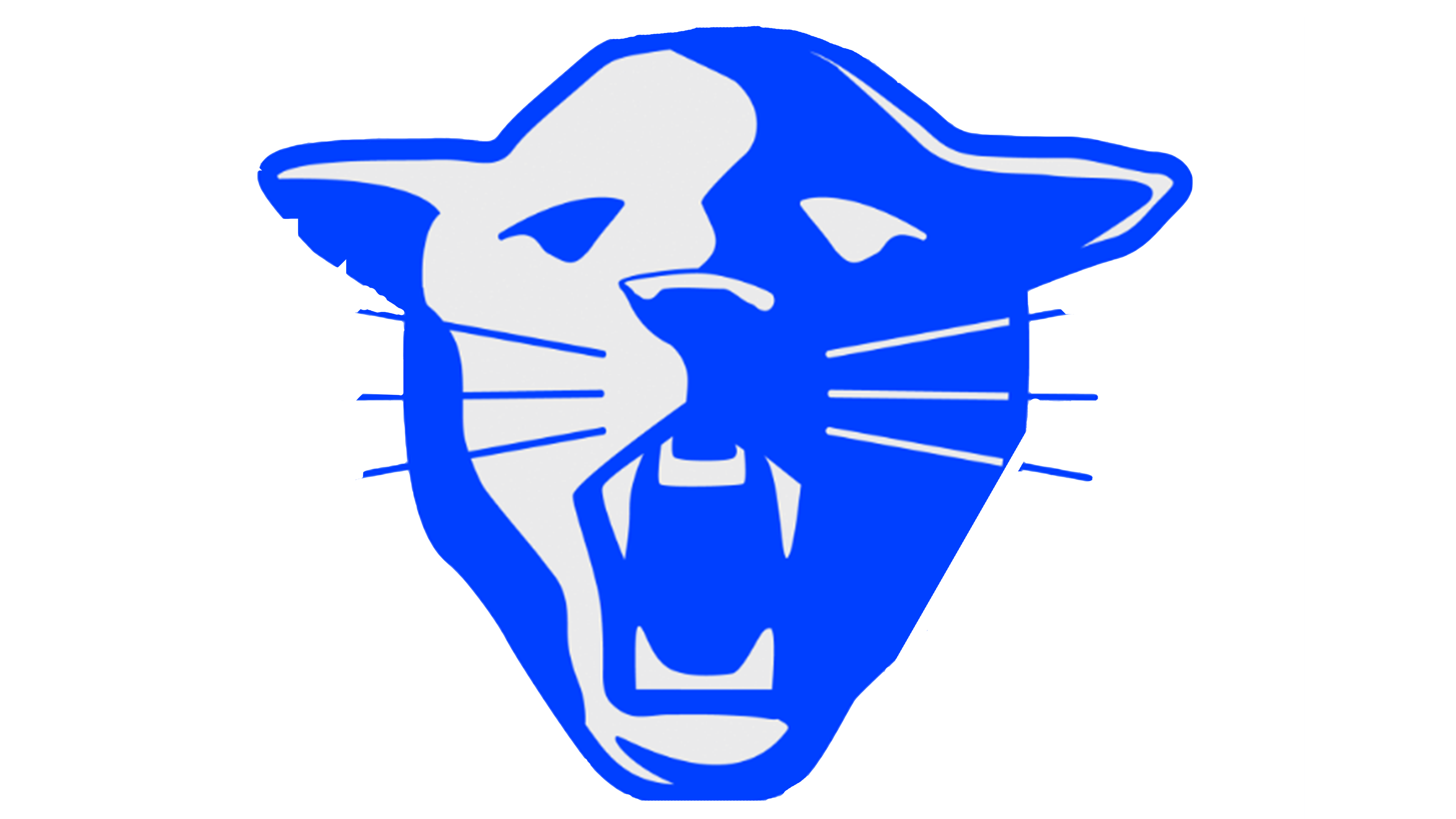 Indianapolis Metropolitan Pumas