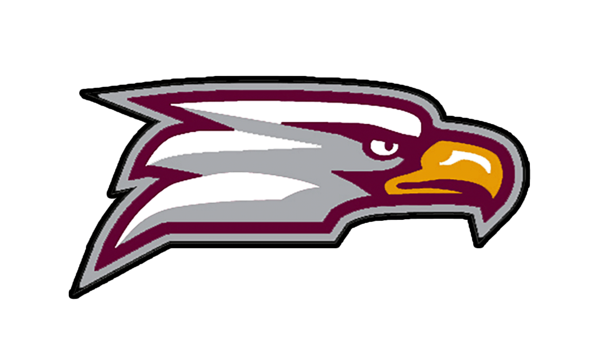 Faith Christian Eagles