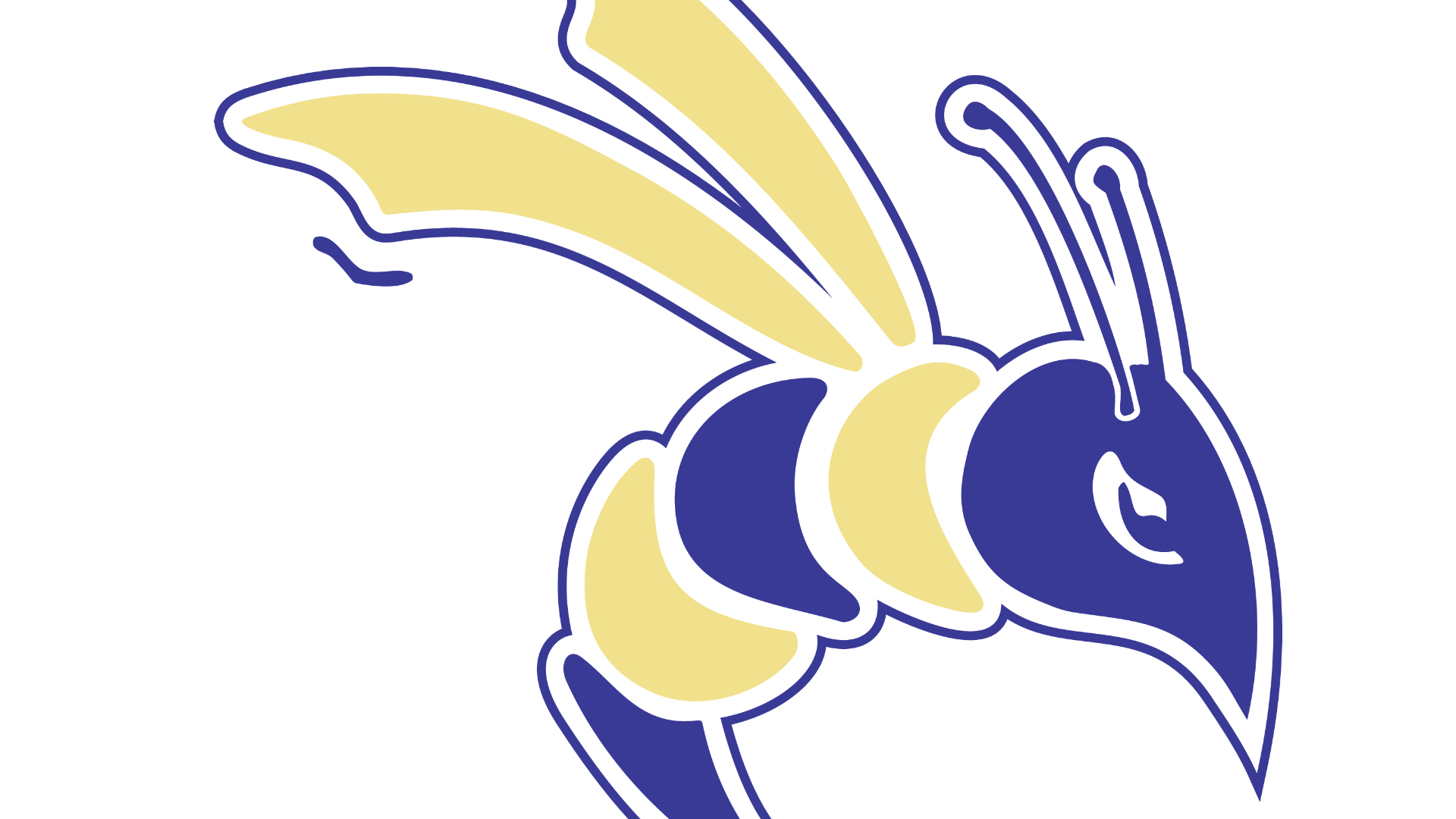 Defiance Yellow Jackets
