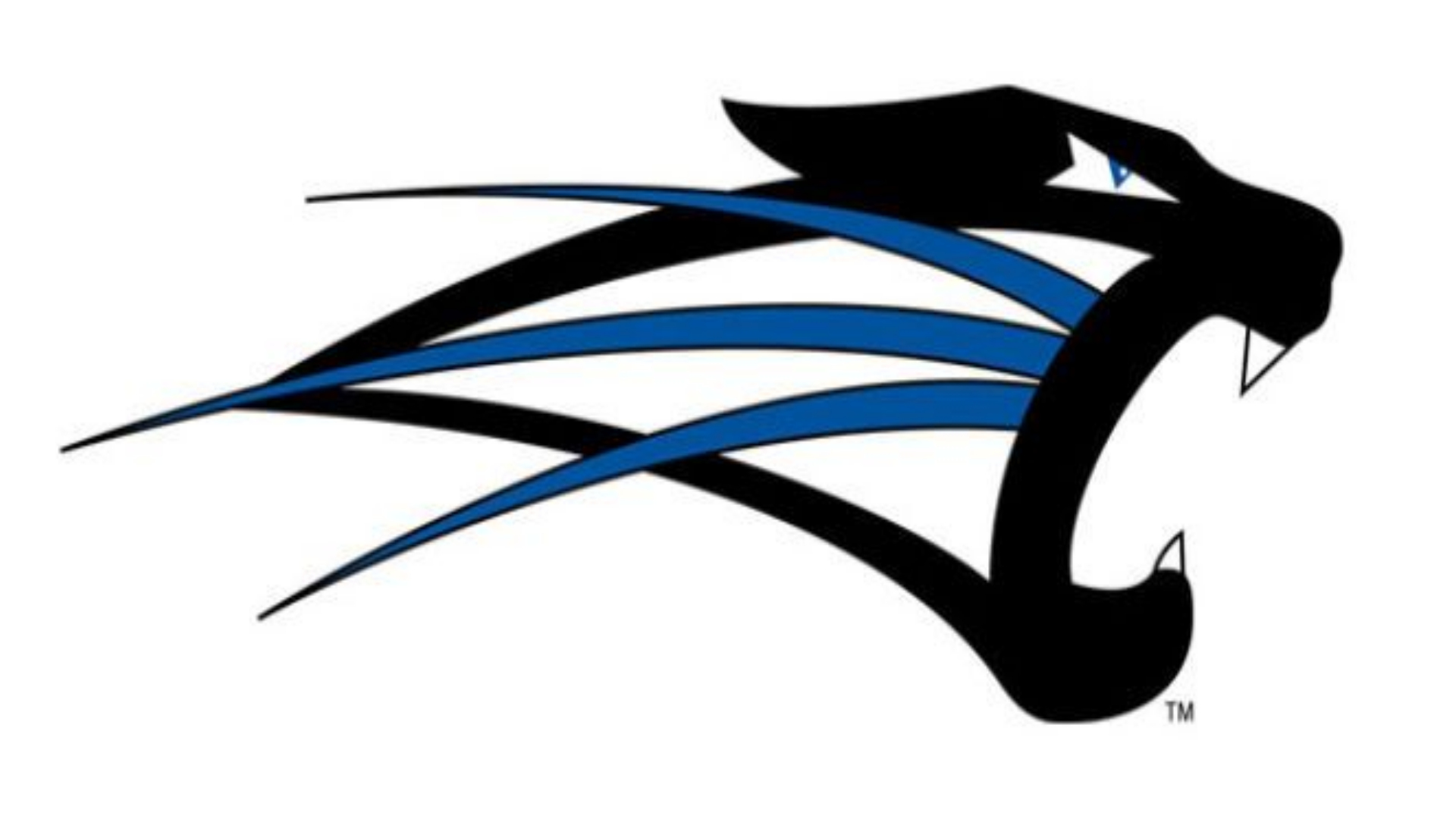 St. Francis (IN) Cougars