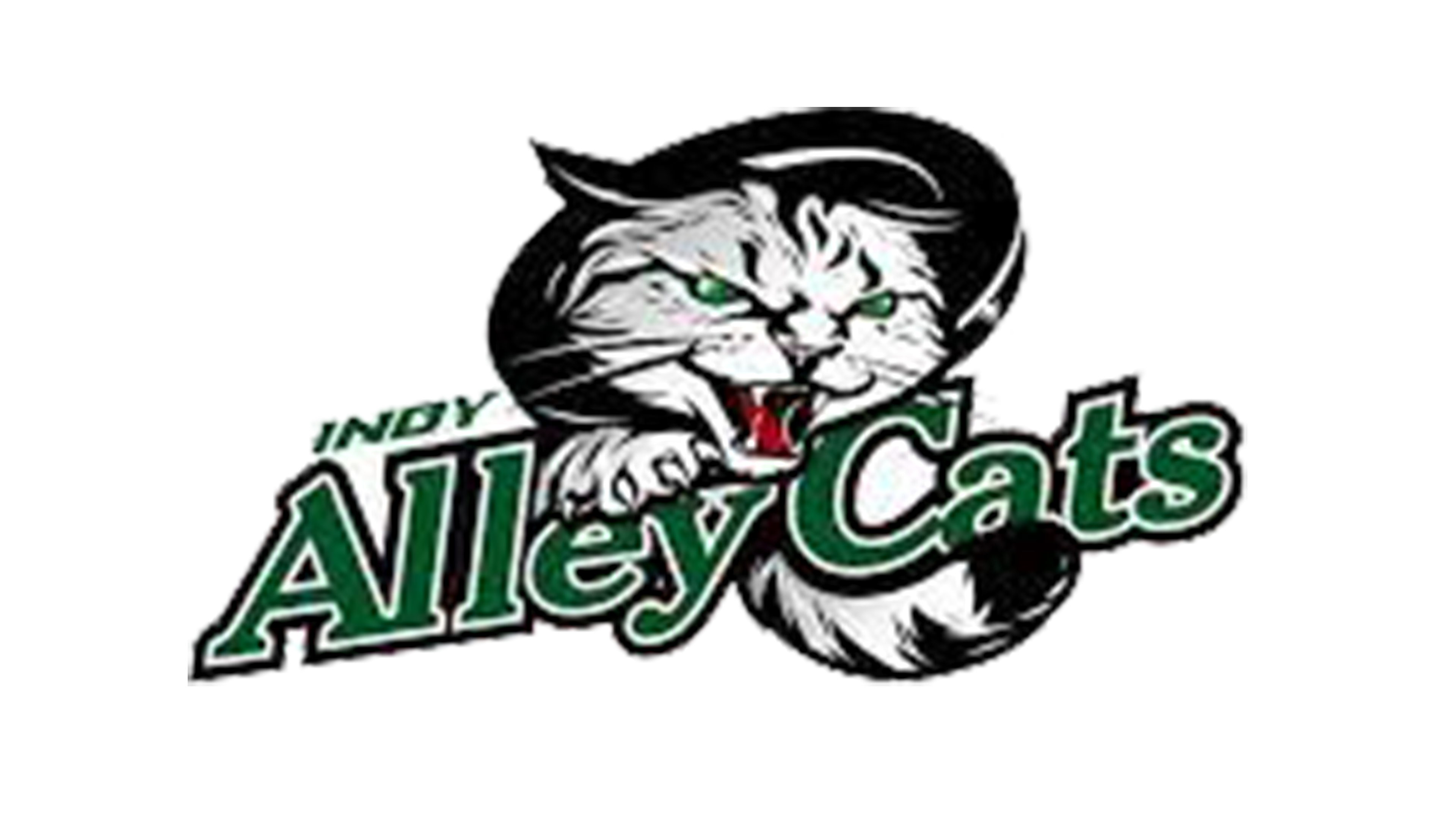 Indy AlleyCats