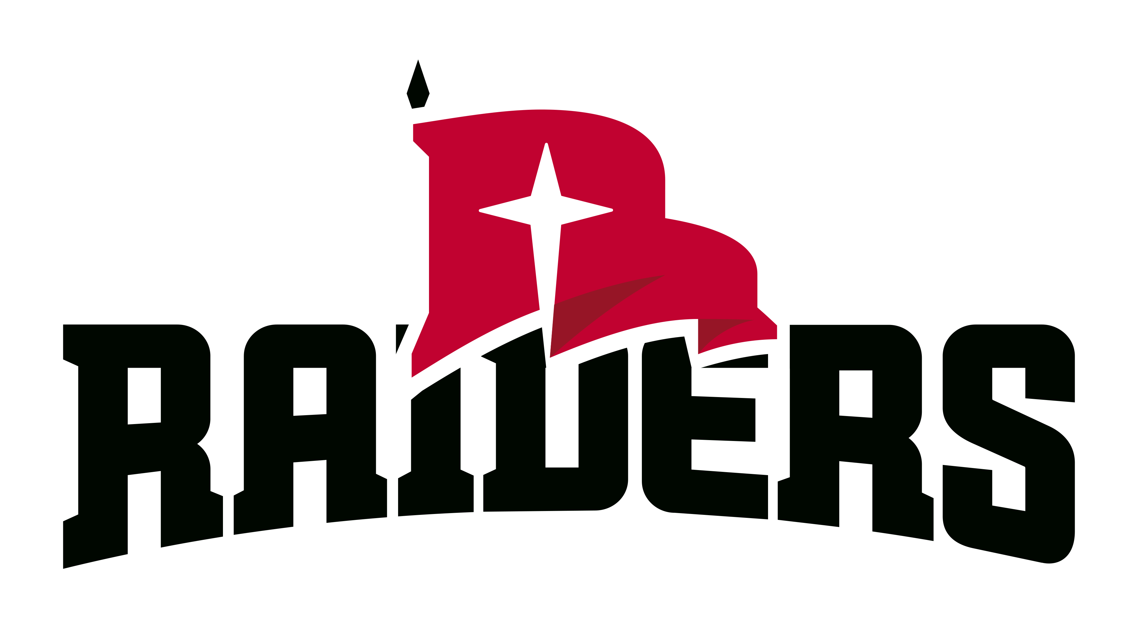 Northwestern College Raiders