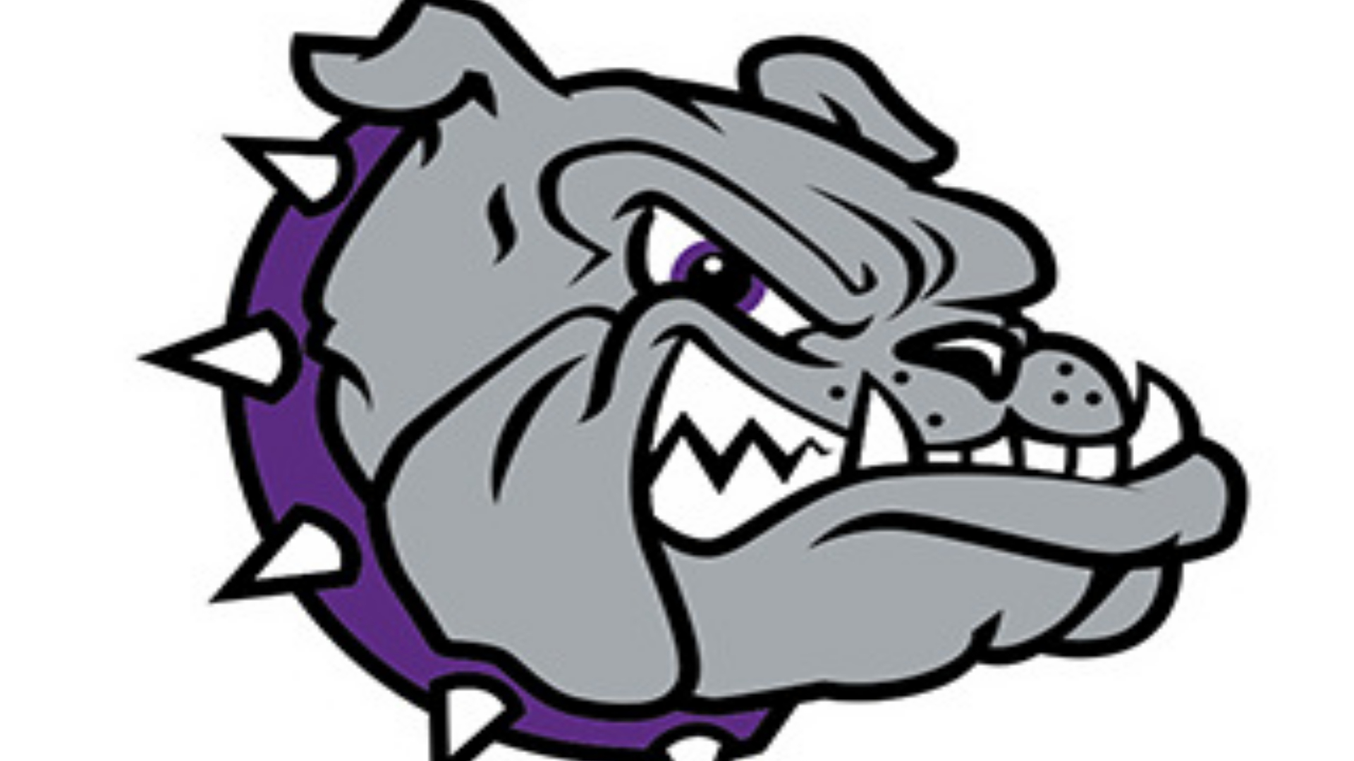 Brownsburg Bulldogs