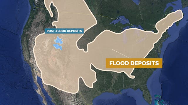 9. Where is the Flood Boundary?