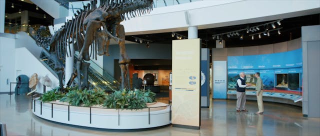 5. The Global Flood - Marcus Ross