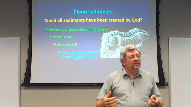 Geology: Sedimentology of the Flood