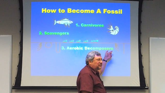 Paleontology: Fossil Record