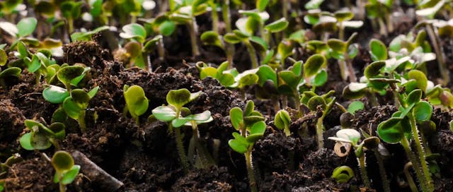 2. The First Seven Days - Stuart Burgess