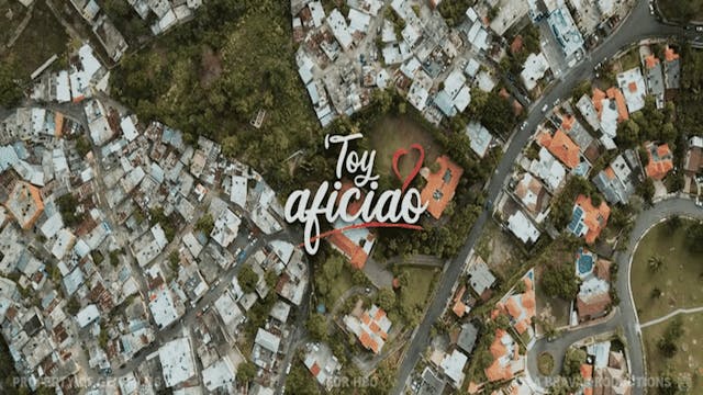 TOY AFICIAO