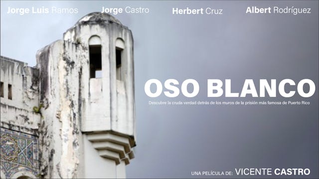 Oso Blanco