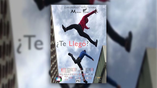 ¿Te llegó?