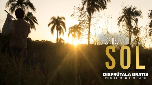 "Flor del Sol"