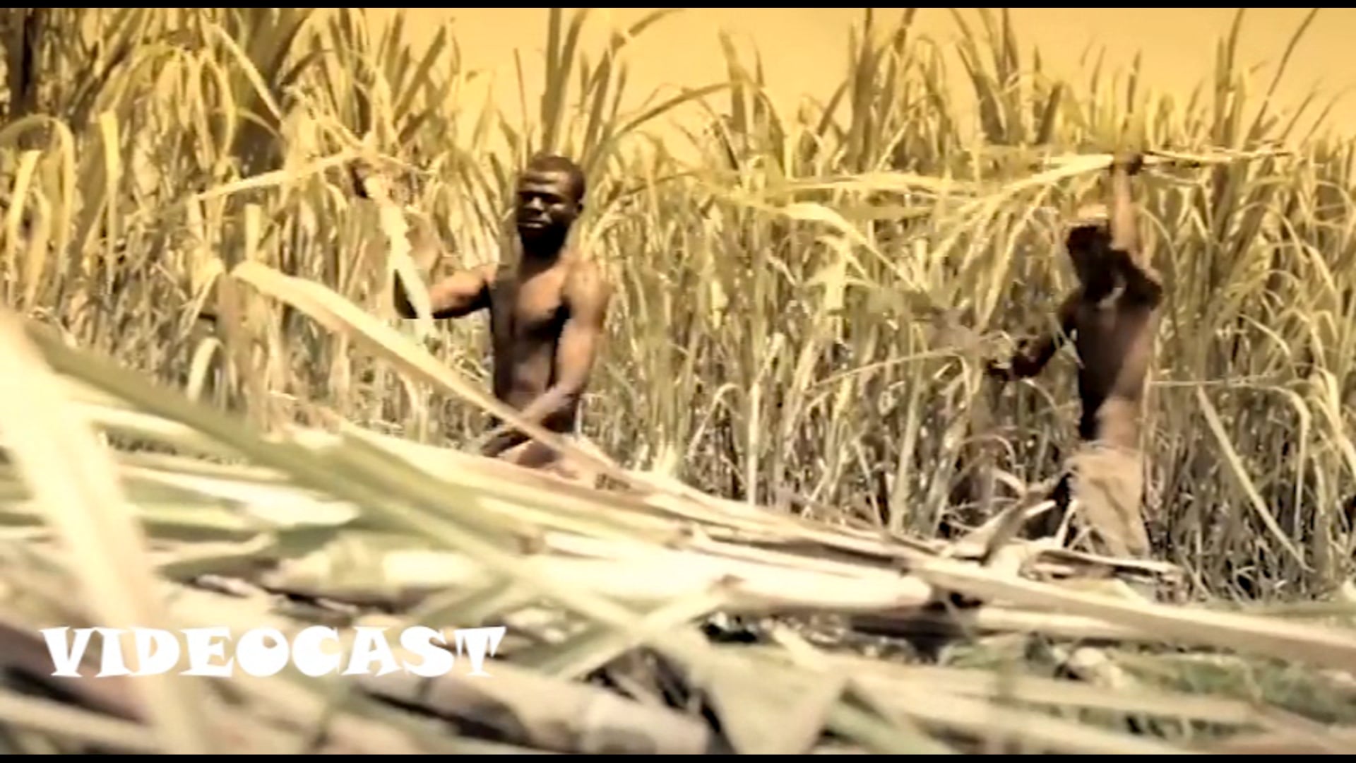 VideoCast - Knaval 2019 Ep. 3