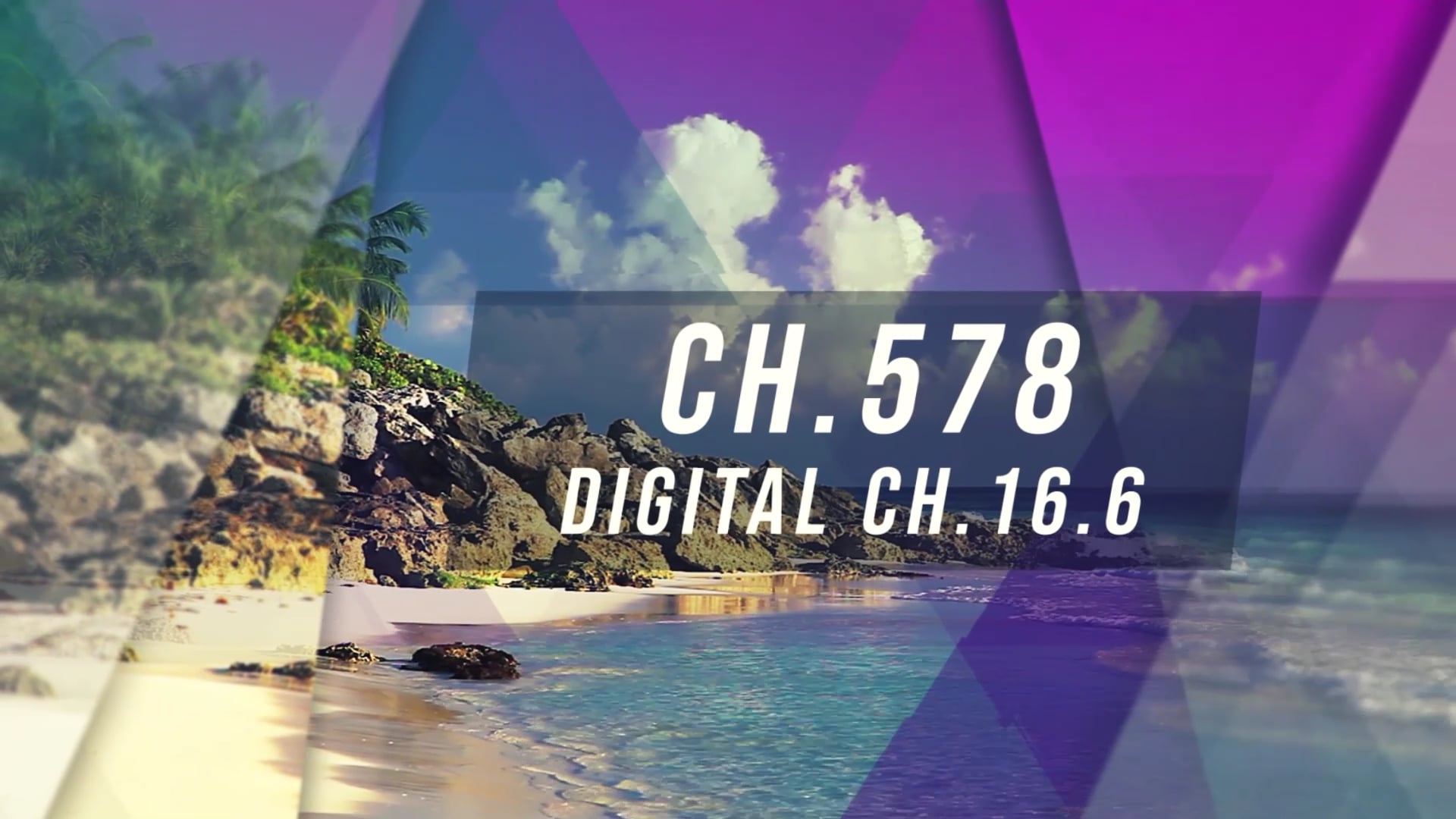 Island TV Special - Ep. 29