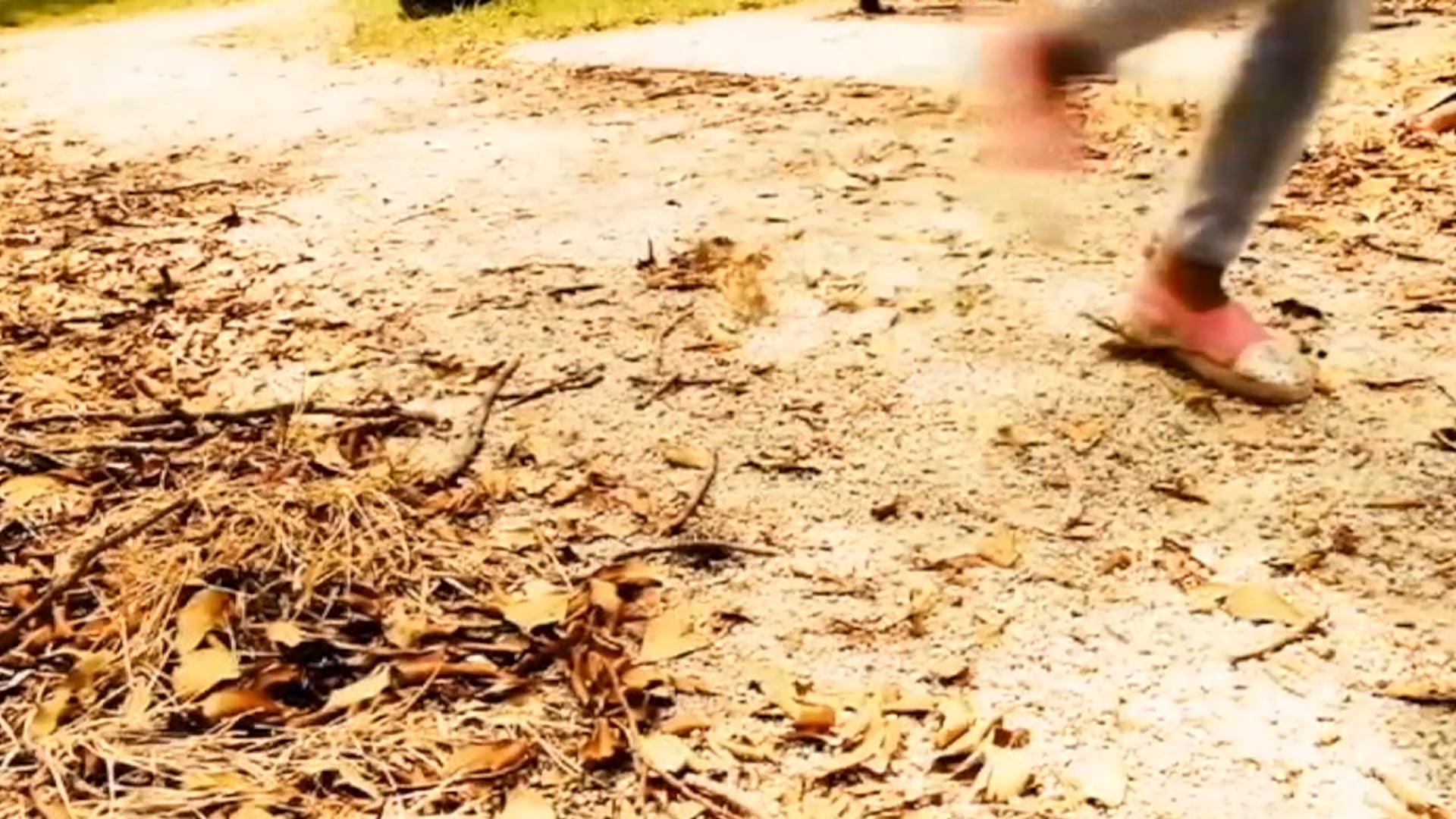 Vil La Show - 11-2-2018